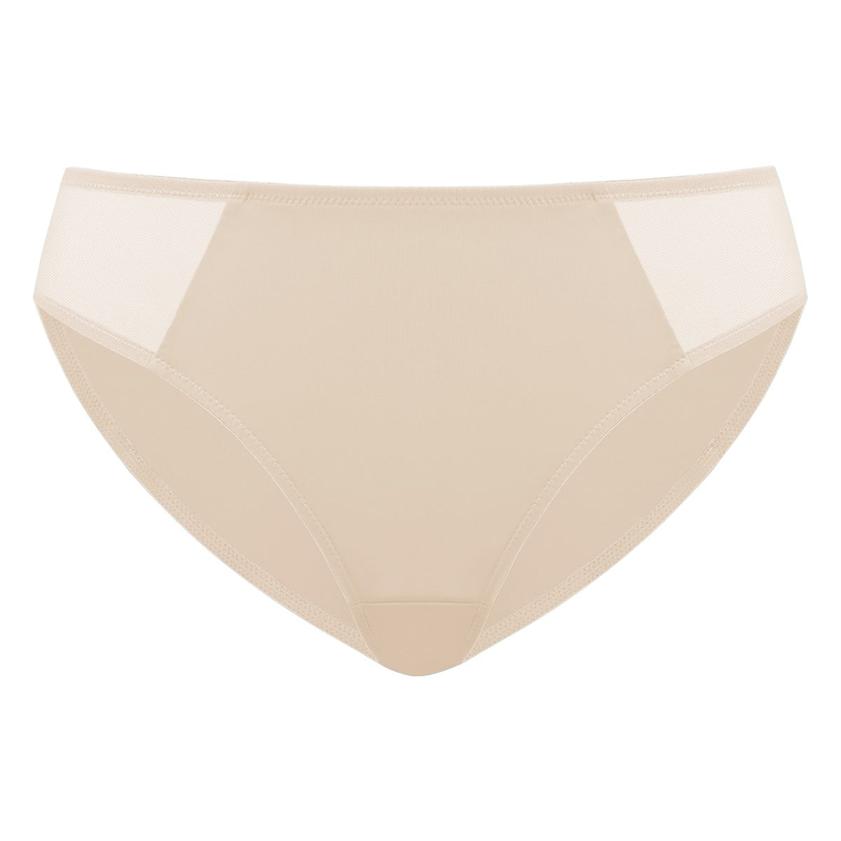 Aria Mesh Side Bikini Underwear - HSIA