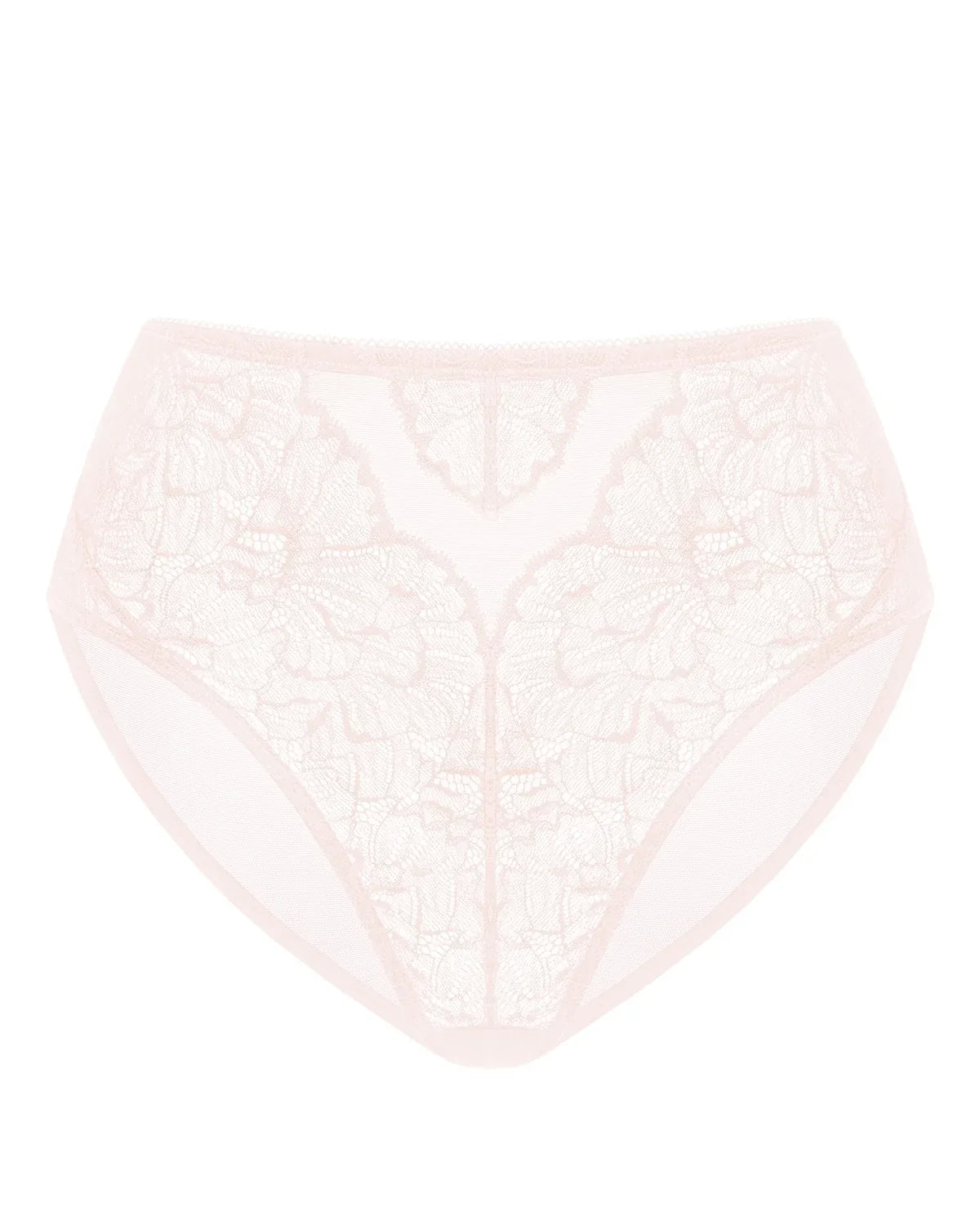 Blossom High-Rise Lace Brief Underwear - HSIA