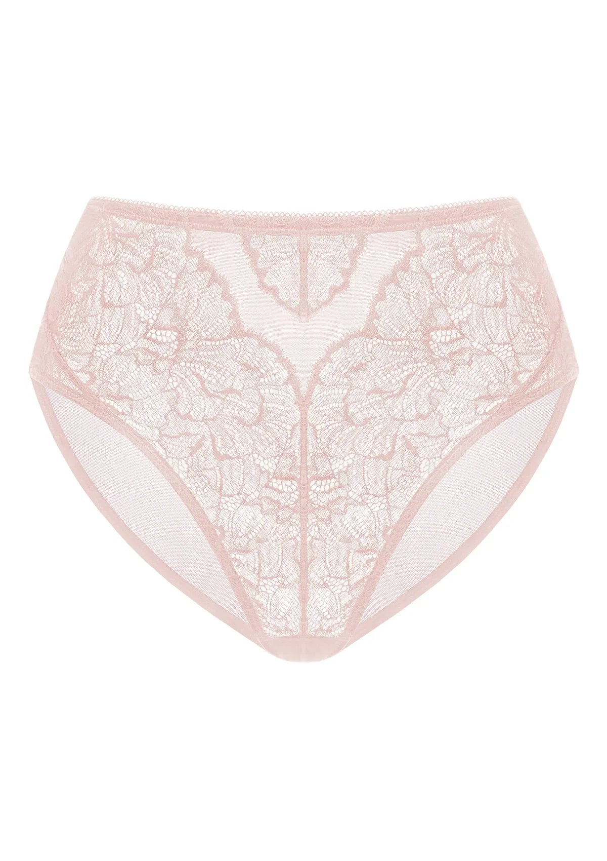 Blossom High-Rise Lace Brief Underwear - HSIA