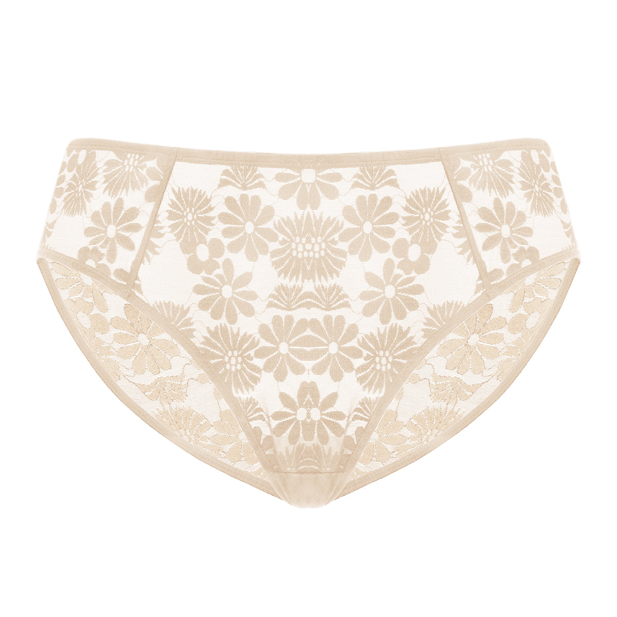 Daisy High-Rise Soft Comfort Natural Nude Lace Brief Underwear - HSIA