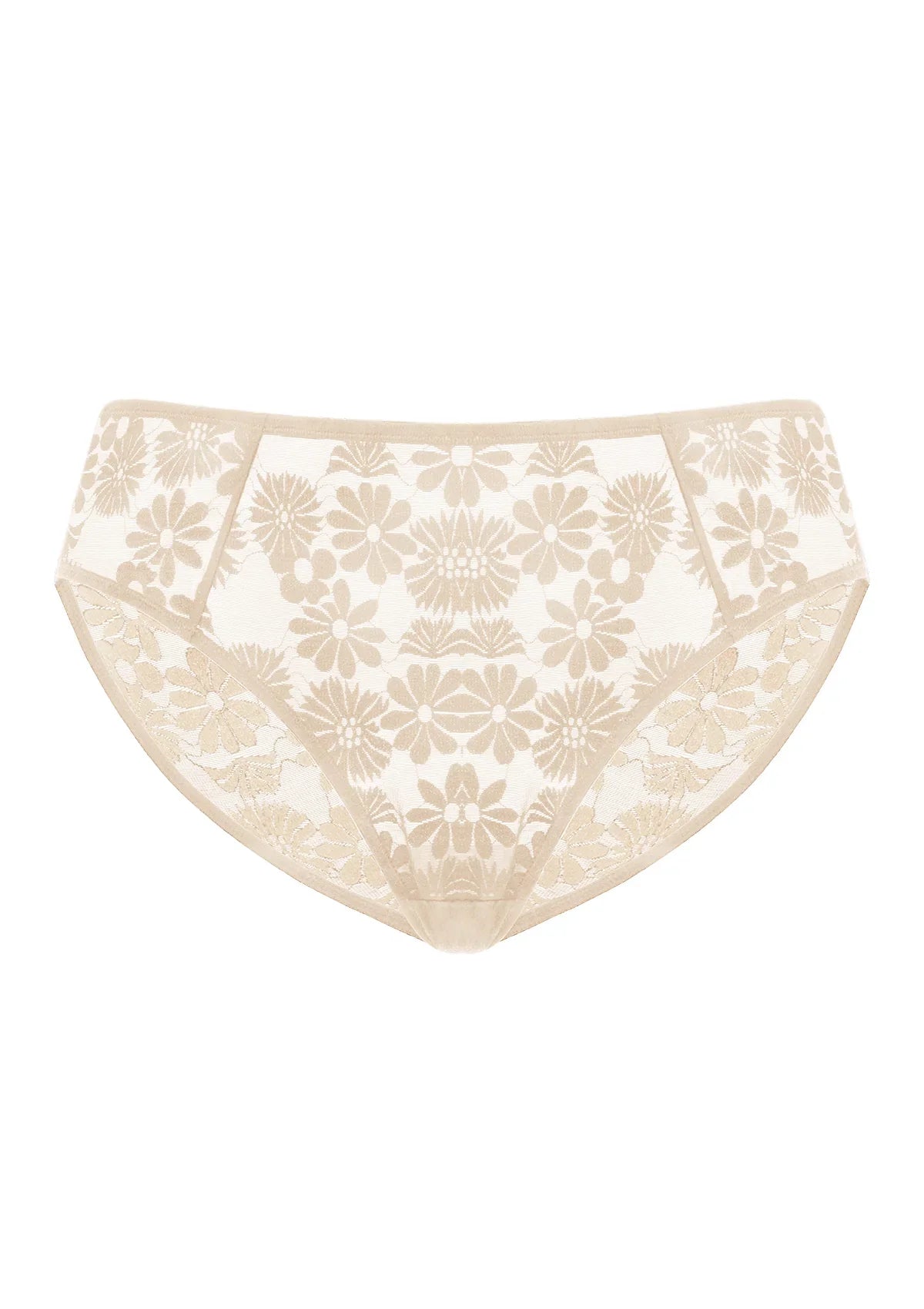 Daisy High-Rise Soft Comfort Natural Nude Lace Brief Underwear - HSIA