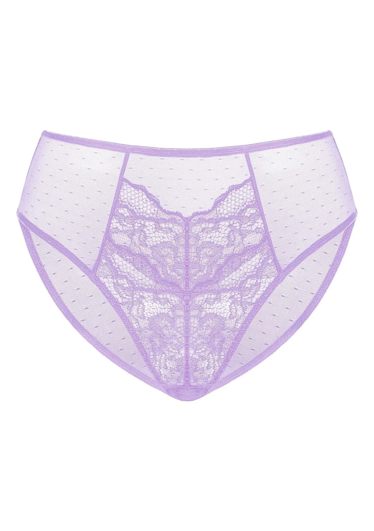 Enchante High-Rise Lace Brief Underwear - HSIA