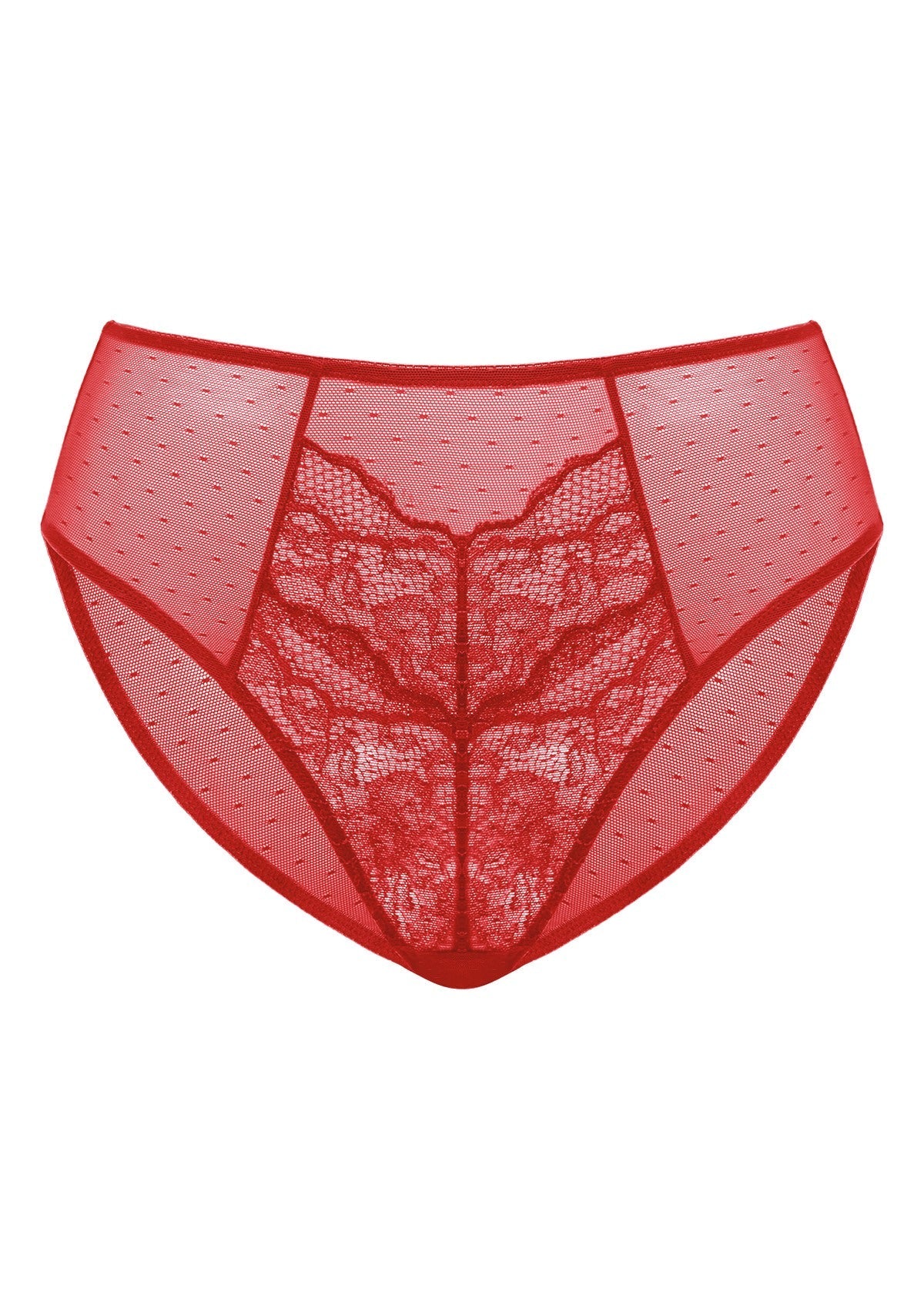 Enchante High-Rise Lace Brief Underwear - HSIA