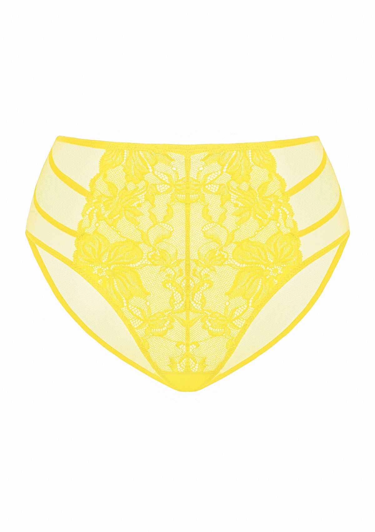 Pretty In Petals High-Rise Lace Brief Underwear - HSIA