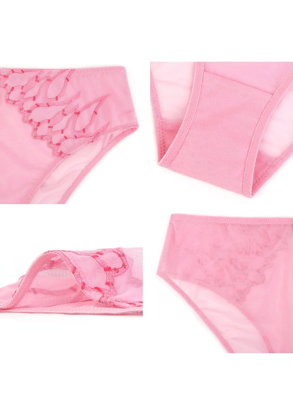 Winter Sonata Embroidered High-Rise Sheer Mesh Lace Bikini Undewear - HSIA