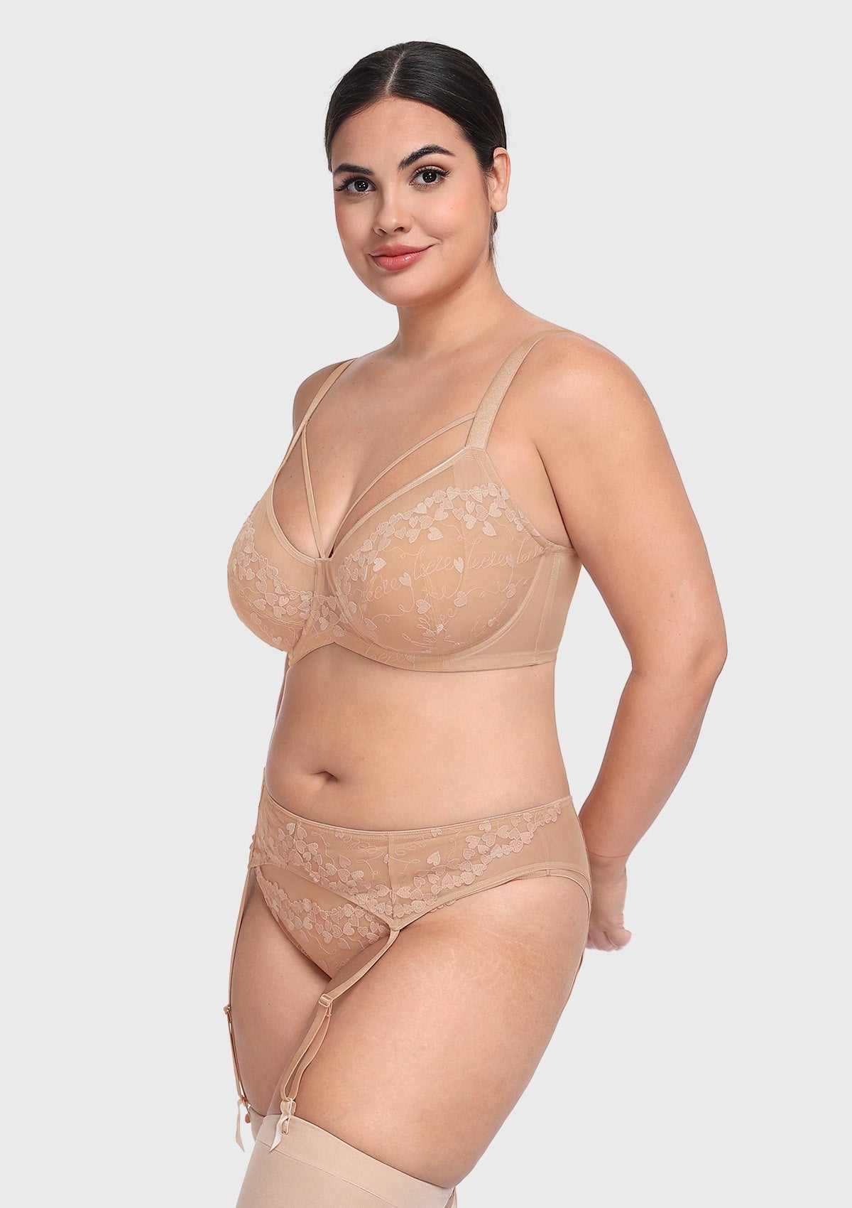 HSIA Renna Holiday Embroidered Pink Mesh Brief Underwear - HSIA