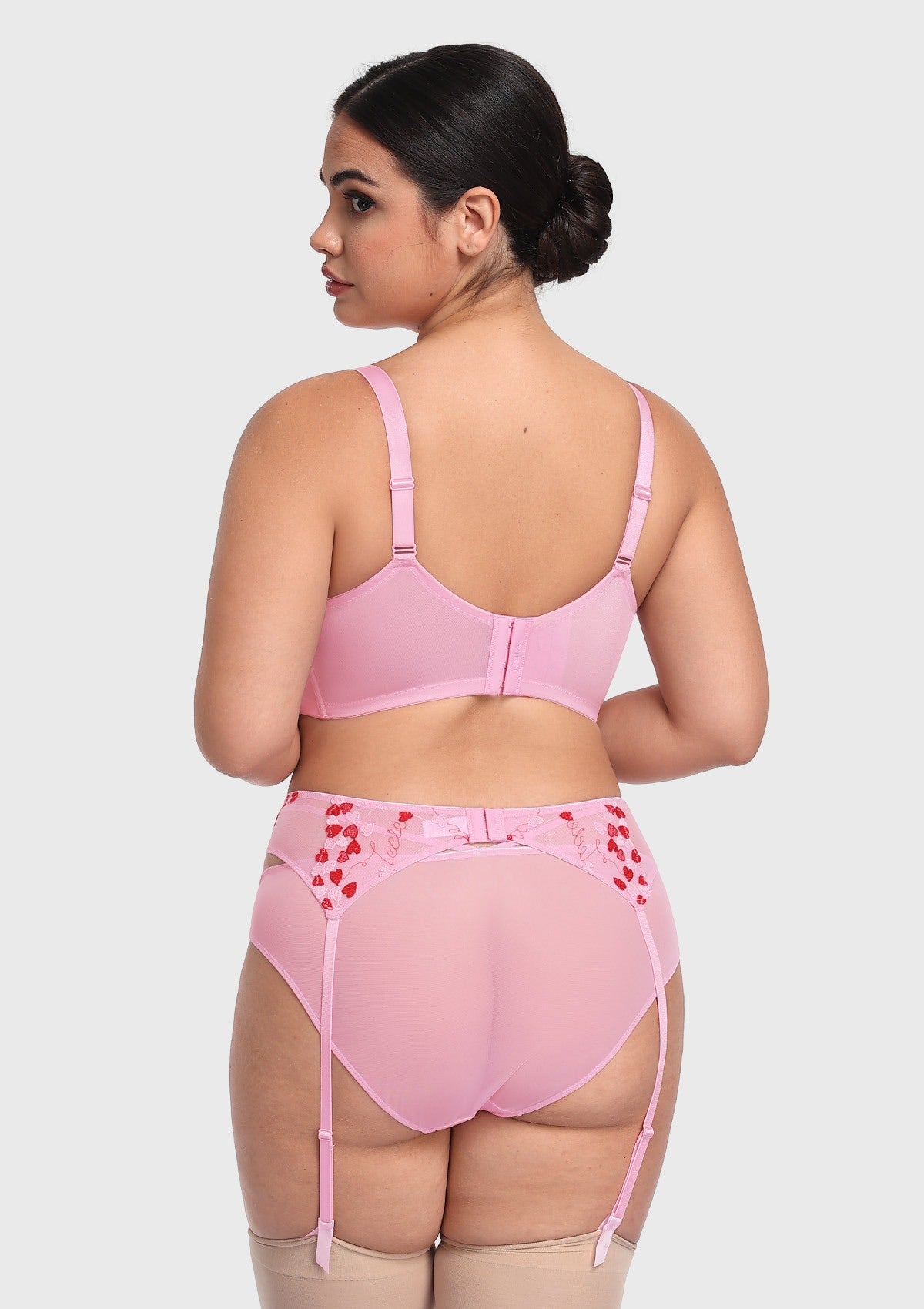 HSIA Renna Holiday Embroidered Pink Mesh Brief Underwear - HSIA