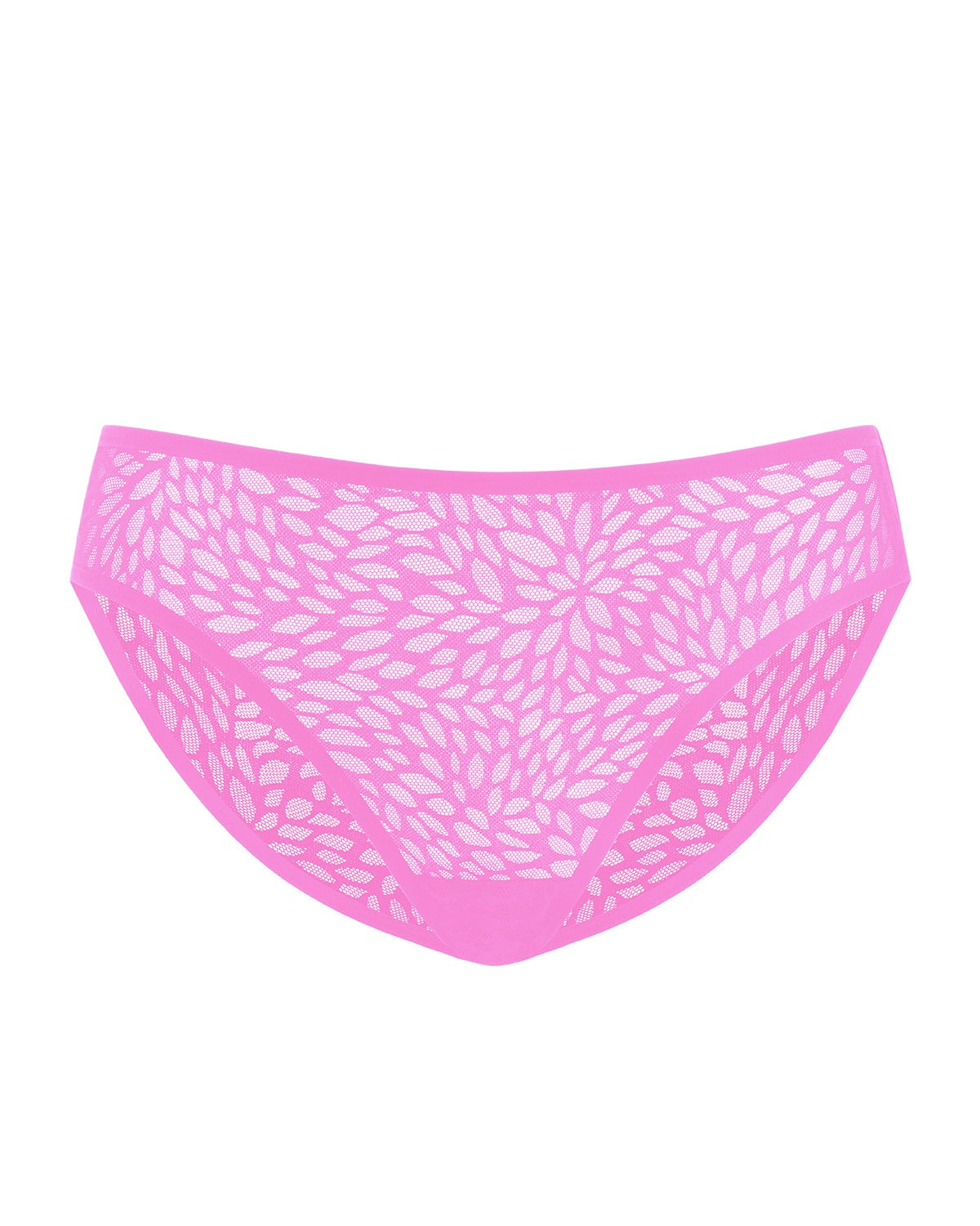 HSIA Vine Sexy Lace Mesh Brief Underwear - HSIA
