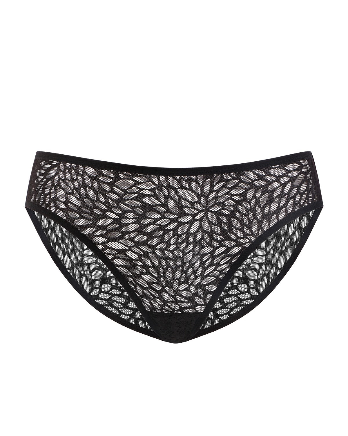 HSIA Vine Sexy Lace Mesh Brief Underwear - HSIA