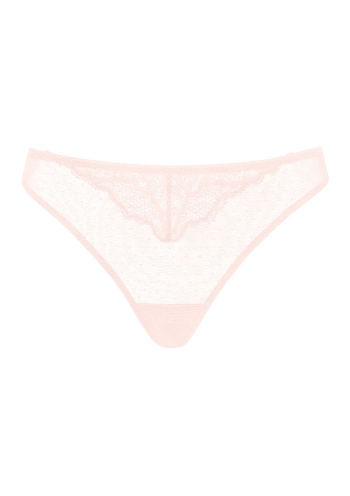 Enchante Floral Lace Sheer Mesh Back Thong Undewear - HSIA