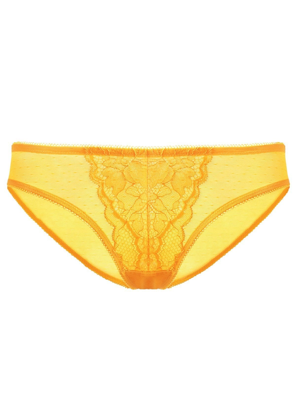 Enchante Lace Mid Rise Bikini Underwear - HSIA