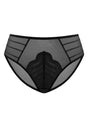 Aqua Passion High-Rise Lace Brief Underwear - HSIA