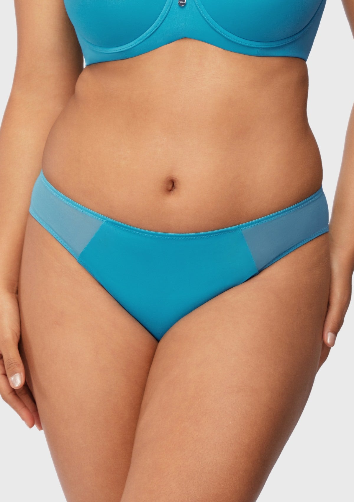 Aria Mesh Side Bikini Underwear - HSIA