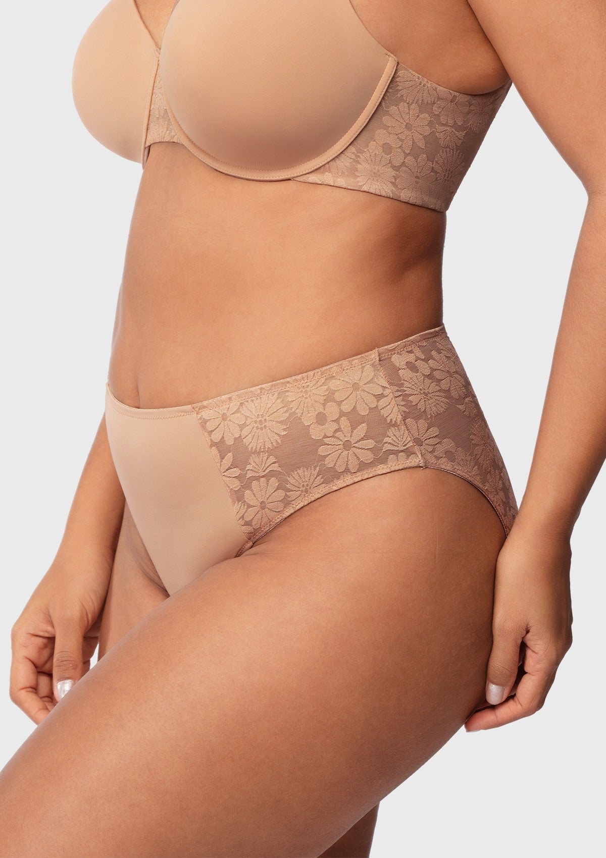 Daisy Smooth Lace High-Rise Rosy Blush Mesh Lace Back Brief Underwear - HSIA