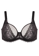 Anemone Unlined Dolphin Lace Underwire Bra - HSIA